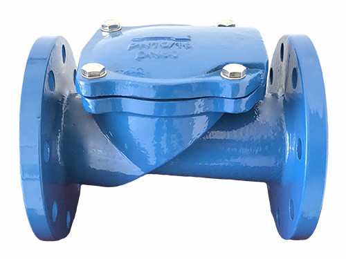 Swing check Valve