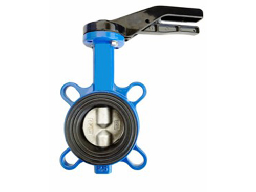 Semi-disc butterfly valve